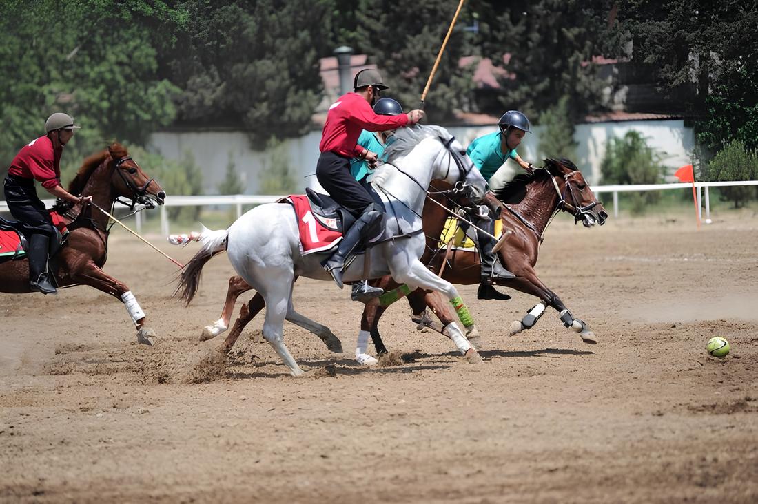 Image of Horse riding in Baku